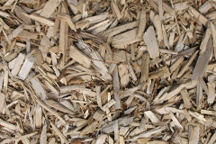 biomass boilers Llanuwchllyn