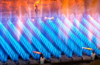 Llanuwchllyn gas fired boilers